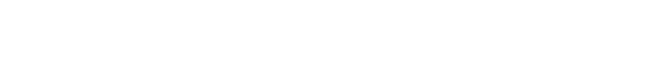 Partner Logo 2